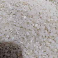 برنج کامفیروزی و خرده برنج کامفیروزی درجه یک بشرط|خوردنی و آشامیدنی|شیراز, شهرک دارایی|دیوار