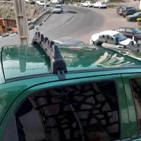 دوو ماتیز تمیز