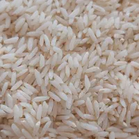 برنج ایرانی علی کاظمی دورود