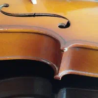 ویولن جوزپ گوارنری|ویولن|تبریز, |دیوار