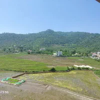 آپارتمان ۲۱۰ متر۳ خوابه خ شهید زارع ویو بام سبز|فروش آپارتمان|ماسال, |دیوار