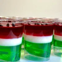 انواع ژله پاناکوتا و...