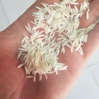 برنج استیم هندی درجه ۱