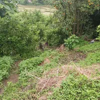 ۱۱.۰۰۰مترزمین۷۰متربناویوبینظیرلاهیجان اطاقور.تعاتر|فروش خانه و ویلا|لاهیجان, لیل|دیوار
