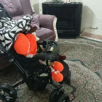 کالسکه و کریر دلیجان|کالسکه و لوازم جانبی|تهران, والفجر (افسریه)|دیوار