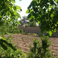 فروش-باغ-به-متراژ-2400متر-آتشگاه