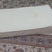 تشک رویال (نوجوان)