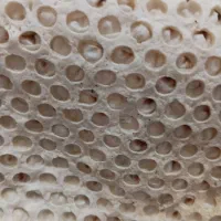 نان خشک دامی درجه 1تمیز بدون آشغال وبدون کپک