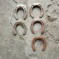 نعل کارکرده اسب