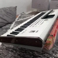 -pax2|پیانو، کیبورد، آکاردئون|اشنویه, |دیوار