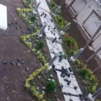 خدمات باغبانی گل کاری هرس کاری تعویض خاک گلدان|خدمات باغبانی و درختکاری|تهران, گیشا|دیوار