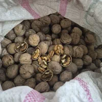 گردو و برنج