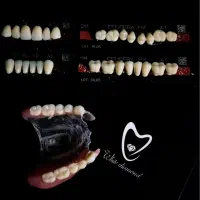 ساخت دندان مصنوعی|خدمات آرایشگری و زیبایی|اردبیل, |دیوار