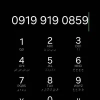 0919.919.0859