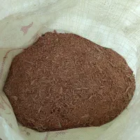 خاک اره پوشال