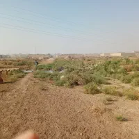 ۲قطعه زمین۱۲۵متری  درملاشیه خ۱۶کمربندی تاکسی یوسف|فروش زمین و ملک کلنگی|اهواز, ملاشیه|دیوار