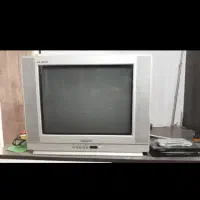 تلویزیون
