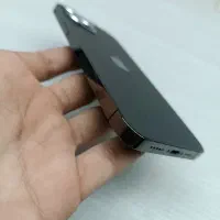 آیفون 12 پرو|موبایل|قائن, |دیوار