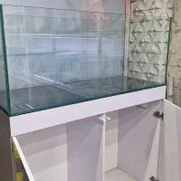 آکواریوم ریملس