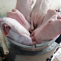 محصولات محلی