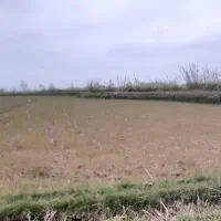 فروش-حدود-یک-هکتار-زمین-زراعتی-به-همراه-یک-ویلا