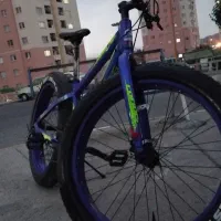 دوچرخه لاستیک پهن