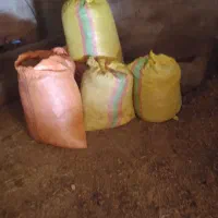 پهن خشک|لوازم جانبی حیوانات|ملکان, |دیوار