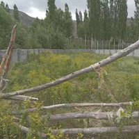 زمین ۵۳۰ متری دونبش در منطقه ییلاقی کجور|فروش زمین و ملک کلنگی|تهران, امامت|دیوار