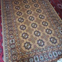 گلیم فرش|فرش|گنبد کاووس, |دیوار