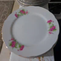 بشقاب های گلسرخی