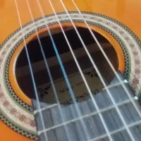 گیتار در حد نو