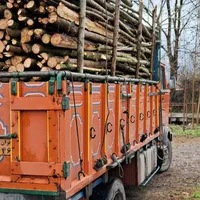 خرید چوب سرپایاقطع شده قیمت مناسب|خدمات باغبانی و درختکاری|آستانه اشرفیه, |دیوار