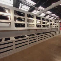 کارشناس فروش خانم (ترجیحا مجرد)