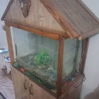 فردش اکواریوم