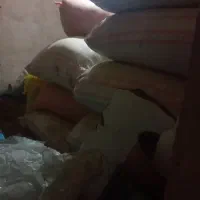 کاه سفید درجه یک