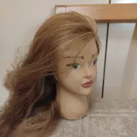 سر مانکن مصنوعی برای شنیون