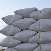 کاه عدس