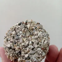 قفس پرنده با اقلام همراه|لوازم جانبی حیوانات|دزفول, |دیوار