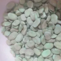 باقله درشت|عمدهفروشی|هرسین, |دیوار