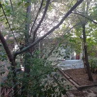 زمین-500متری-شمشک