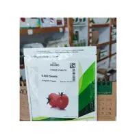 بهترین رقم بذر گوجه فرنگی را از ما بخواهید|حراج|داراب, |دیوار