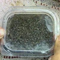 غذای ماهی و پرندگان گاماروس منجمد