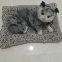 بازی فکری و عروسک گربه و پنکه