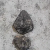 سکه قدیمی ساسانیان، یا اشکانیان