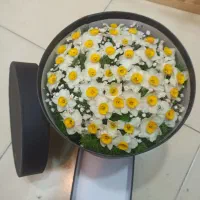 دسته گل های شیک لاکچری ارزان‌تر ازهمه  ازمابخواهید