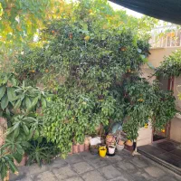 فروش ویلایی دو طبقه سه واحدی|فروش خانه و ویلا|فیروزآباد (فارس), |دیوار