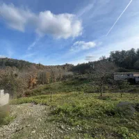 فروش-زمین-محصور-شده-جنگلی