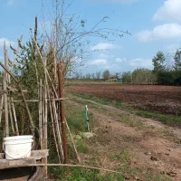 زمین-روستایی-1800-متری-نزدیک-انشعابات