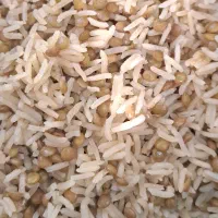 برنج هاشمی کشت دوم گیلان