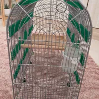 قفس|لوازم جانبی حیوانات|مرودشت, ثبت احوال|دیوار